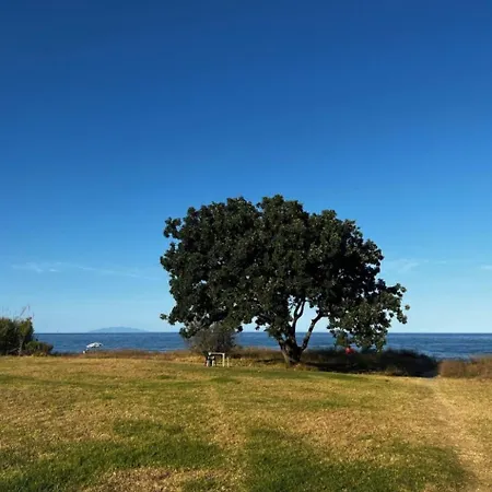 Maison A La Plage Poggio Mezzana Extérieur photo